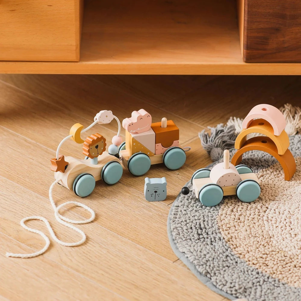 Wooden Montessori Activity Train