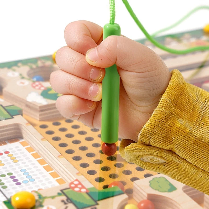 Magnetic Wooden Sorting Maze Board